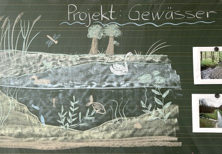 Naturpark-Schule Langsur Projekttage, &copy; Naturpark S&uuml;deifel/Ansgar Dondelinger.