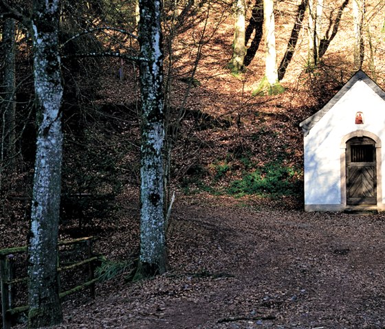 White chapel in the forest, surrounded by trees and autumn leaves. The entrance is made of wood, the surroundings are quiet and secluded., © TI Bitburger Land