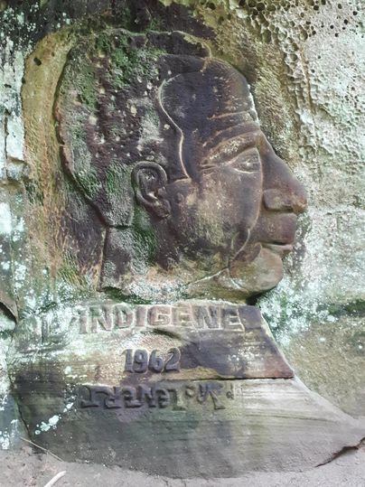 Une sculpture en pierre d'un visage avec l'inscription "Indigène 1964". La statue est entourée de mousse naturelle.