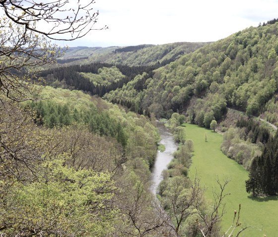 View over the Our valley from the Königslay, © Tourist-Information Islek