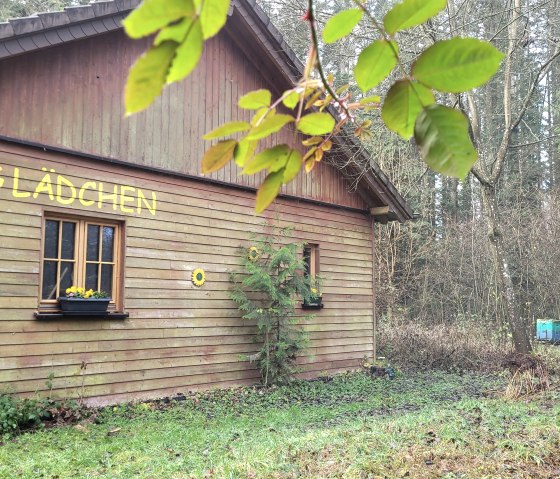 Imkerhaus und Bienenst&ouml;cke am Naturparkzentrum, &copy; Felsenland S&uuml;deifel Tourismus GmbH, Elke Wagner