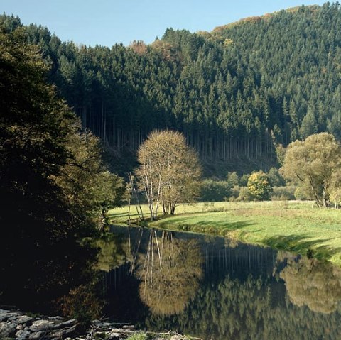 The Our near Obereisenbach, surrounded by dense forests and green meadows., &copy; V. Teuschler