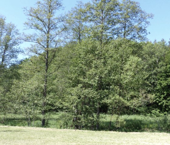 Am Stausee, &copy; Tourist-Info Islek