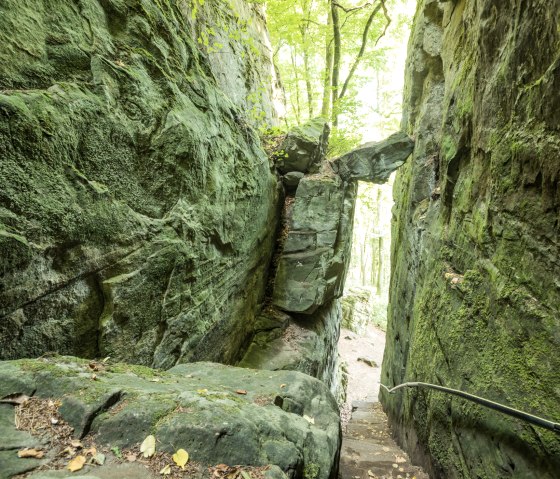 Schmale, moosbewachsene Schlucht mit steilen Felsw&auml;nden und einem schmalen Pfad, der hinabf&uuml;hrt. Oben sind B&auml;ume und Licht zu sehen., &copy; Rheinland-Pfalz Tourismus, D. Ketz