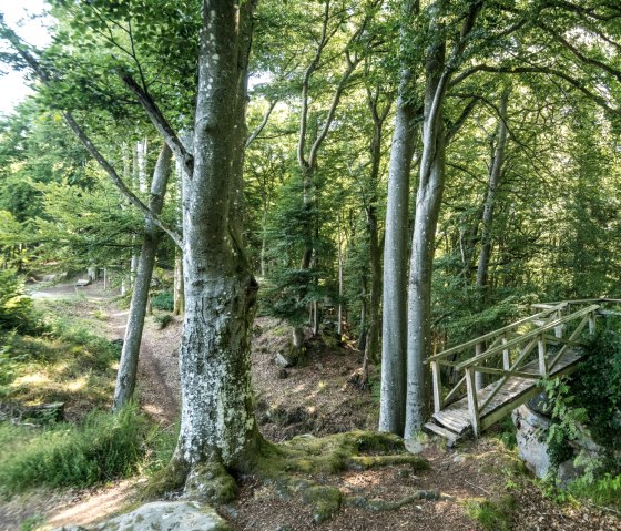 Idyllischer Wanderweg an der Schankweiler Klause auf dem Klausnerweg, &copy; Eifel Tourismus GmbH, D. Ketz