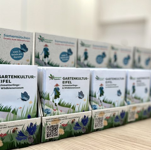 Saatgutmischung Schmetterlings- und Wildbienensaum, &copy; Naturpark S&uuml;deifel/Ansgar Dondelinger