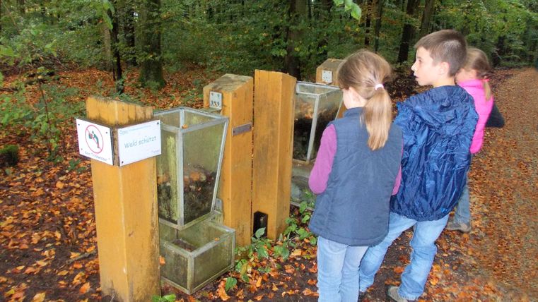 Kinder an einer Walderlebnisstation im Wald.