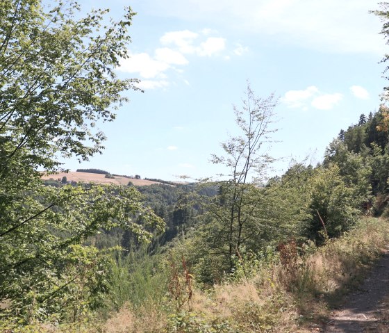 Hiking trail with distant views over the Irsental valley, © Wanderweg mit Fernblick über das Irsental