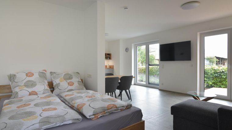 Een modern woon- en slaapkamer met een tweepersoonsbed, een tafel en stoelen. Grote ramen bieden veel licht en uitzicht op het groen.