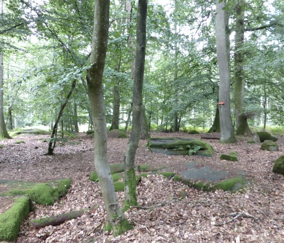 The gravel tombs - a Gallo-Roman burial site, © Elke Wagner, Felsenland Südeifel Tourismus GmbH