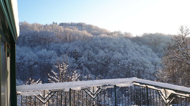 A snowy landscape with snow-covered trees and gentle hills. The sky is clear and the sun is shining.