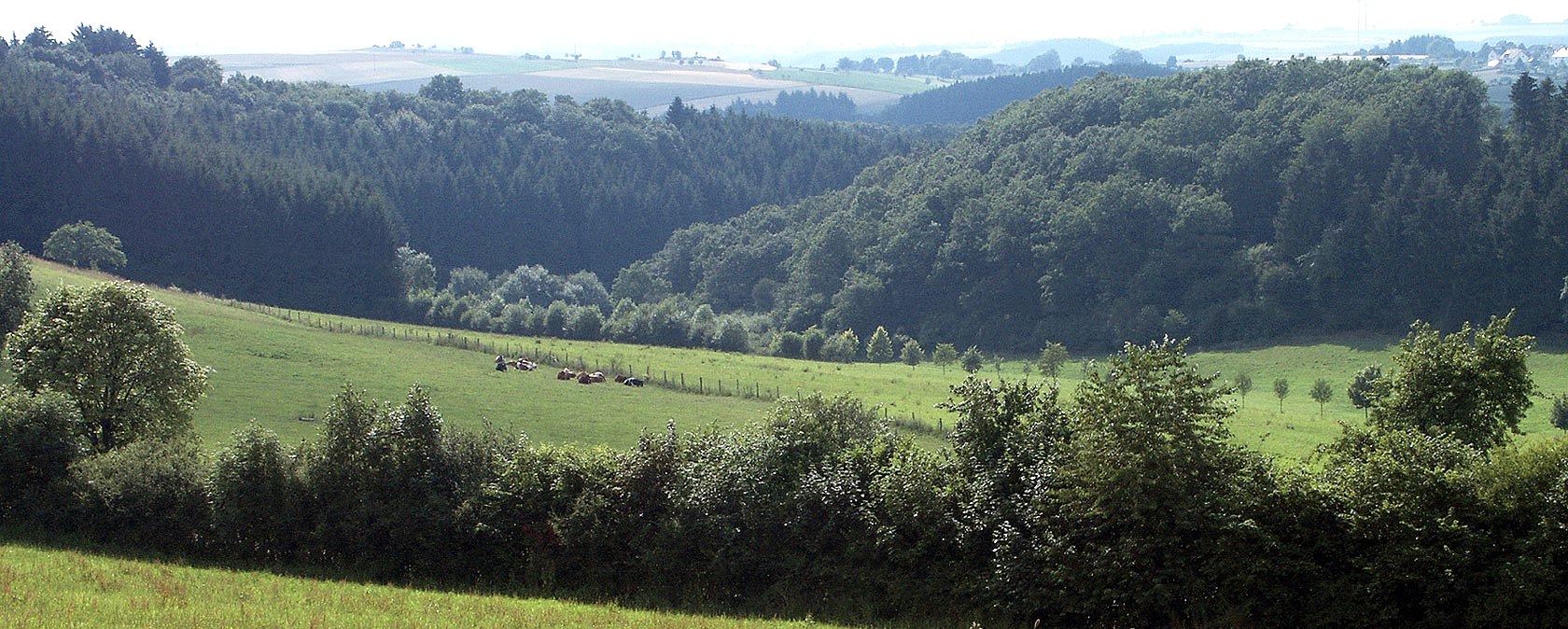View of Dahnen, &copy; V. Teuschler