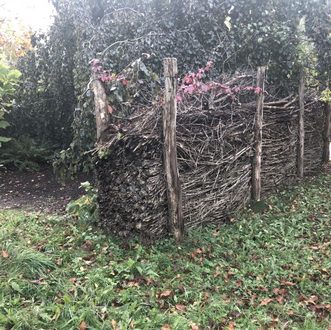 Benjeshecke, &copy; Eva Hofmann