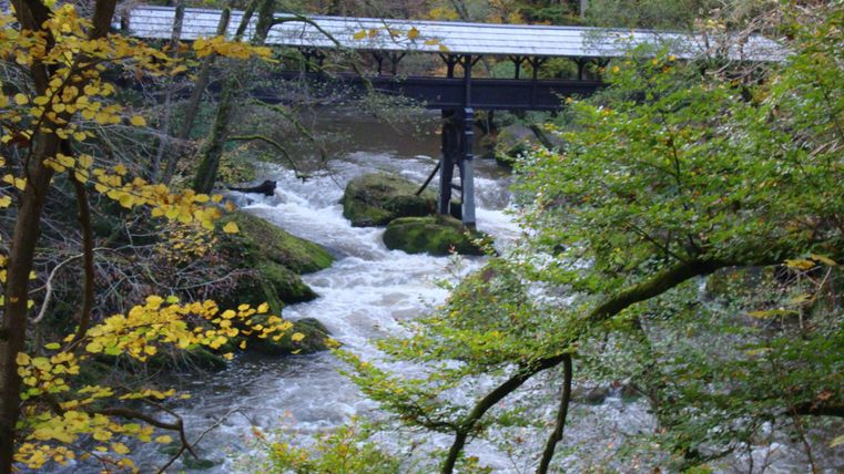 Een pittoreske brug over een ruisende rivier, omgeven door bomen met kleurrijke herfstbladeren. De natuurlijke omgeving straalt rust en schoonheid uit.