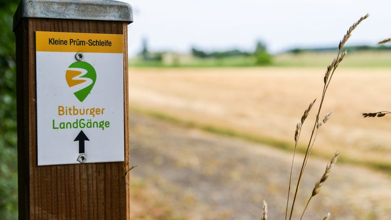 Bitburger LandGänge signpost with the inscription 'Kleine Prüm-Schleife' in a rural setting.