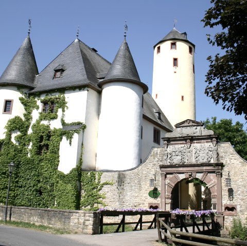 Burg Rittersdorf mit zwei runden T&uuml;rmen und einem hohen, gelben Turm. Ein Torbogen mit Verzierungen f&uuml;hrt in die Burg. Efeu w&auml;chst an den W&auml;nden., &copy; Frank Schaal