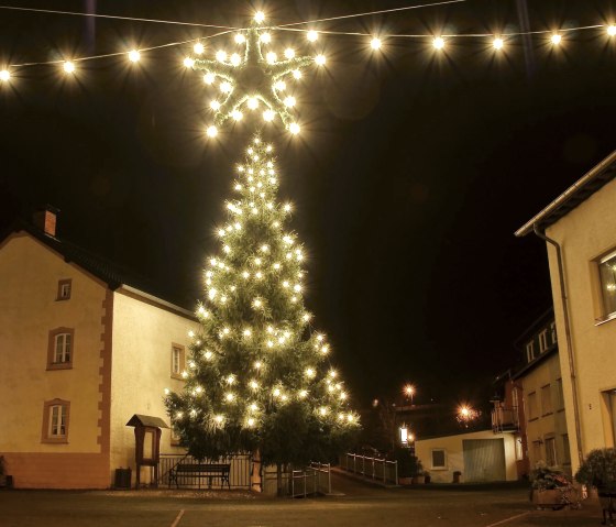 Weihnachtsbaum in Waxweiler, © Fritz Knob