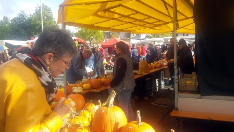 A bustling market with many pumpkins under a yellow tent. People stroll between the stalls and choose fresh vegetables.