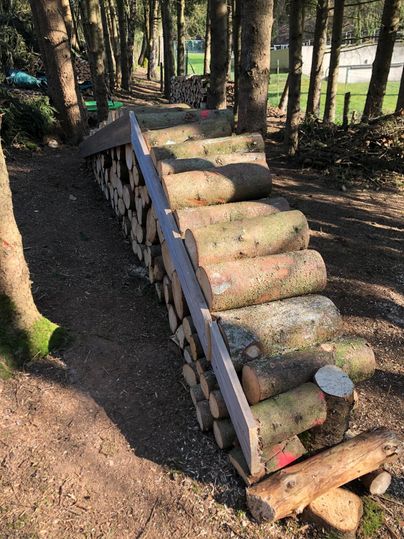 Ein Holzstapel mit einer schrägen Rampe in einem Waldgebiet. Die Umgebung ist grün mit Bäumen und bietet eine natürliche Atmosphäre.