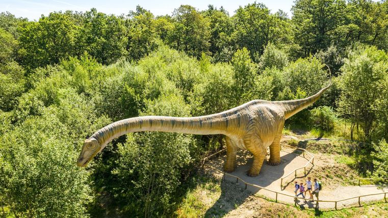 Een grote dinosaurus van dichtbij, omringd door bomen en een pad. Een groep mensen staat beneden en bekijkt het model.