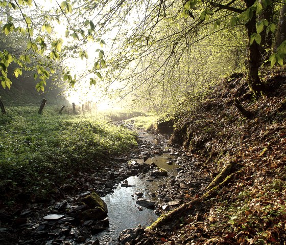 Wallf&auml;hrte Weidingen, B&auml;chlein, &copy; Naturpark S&uuml;deifel, Volker Teuschler