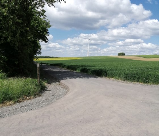 Wide fields accompany us for most of the way., © Felsenland Südeifel Tourismus, Antje Ackermann