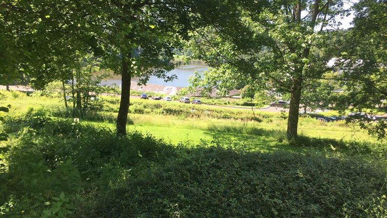 Un paysage verdoyant avec des arbres et un sol herbeux. À l'arrière-plan, un lac paisible et une route sont visibles.