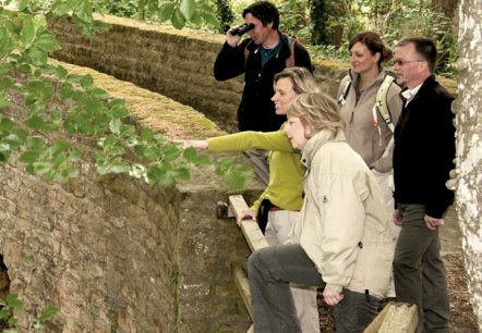 Naturparkarbeit, &copy; NP S&uuml;deifel ZV