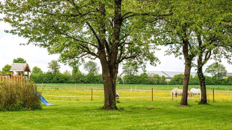 Eine grüne Wiese mit großen Bäumen und zwei Pferden. Im Hintergrund ist ein Spielplatz und eine weite Landschaft zu sehen.
