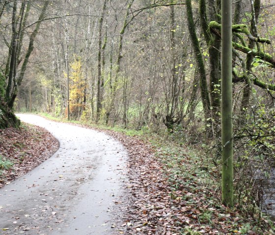 Ein schmaler, kurviger Weg im Radenbachtal, umgeben von Bäumen mit herbstlichem Laub und einem kleinen Bach rechts., © Felsenland Südeifel Tourismus GmbH, Natalie Mainz