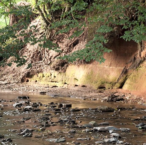A stream flows along a reddish wall of earth, surrounded by green trees and stones in the water., &copy; V. Teuschler