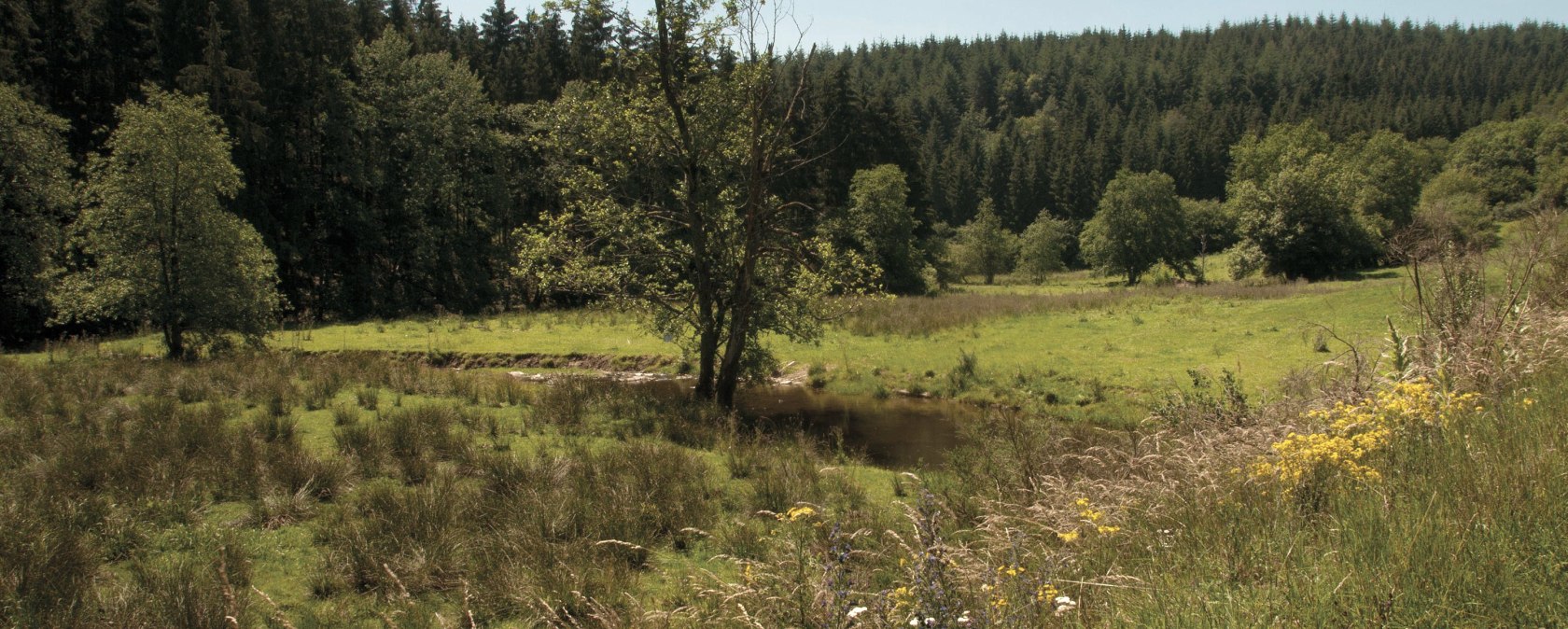 Naturpark Südeifel - Irsenpfad, © Joelle Mathias