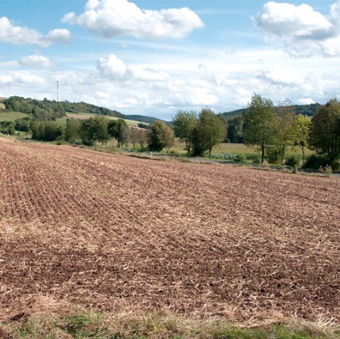 Wide landscape in the Enz valley with a brown field in the foreground, trees and a windmill in the background under a blue sky with clouds., &copy; V. Teuschler