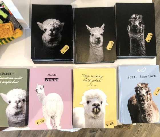 Lustige Postkarten mit Motiven vonChrissis Alpakas, &copy; TI Bitburger Land
