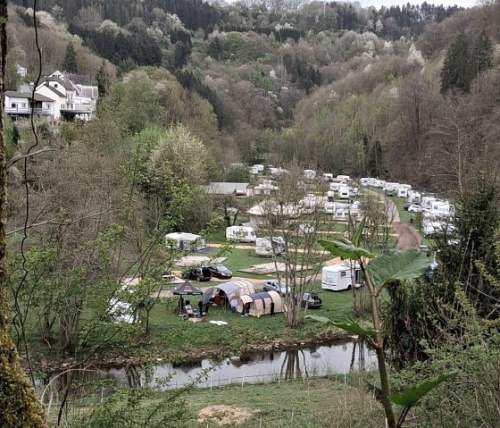 Rundweg Kyllburg-Malberg (Campingplatz Kyllburg)