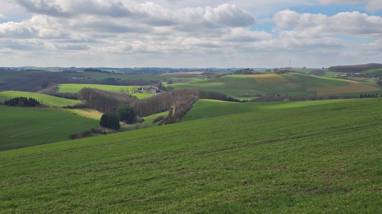 Eine weitläufige grüne Landschaft mit sanften Hügeln und paar Bäumen. Der Himmel ist bewölkt und es gibt kleine ländliche Siedlungen in der Ferne.