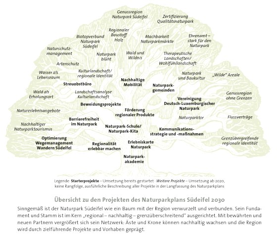 Projektbaum Naturparkplan S&uuml;deifel 2030, &copy; Naturpark S&uuml;deifel