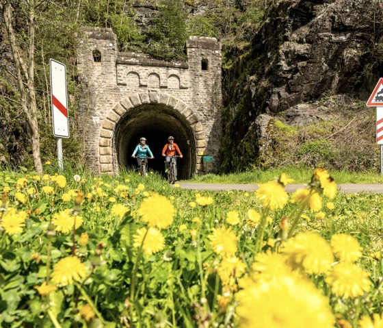 Zwei Radfahrer auf einem Weg vor einem alten Bahntunnel, umgeben von bl&uuml;hendem L&ouml;wenzahn und Verkehrsschildern., &copy; Eifel Tourismus GmbH, Dominik Ketz