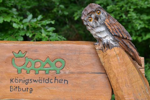 Eine Holzskulptur einer Eule sitzt auf einem Schild mit der Aufschrift "Königswäldchen" in Bitburg. Das Schild ist von grünen Bäumen umgeben und strahlt eine natürliche Atmosphäre aus.