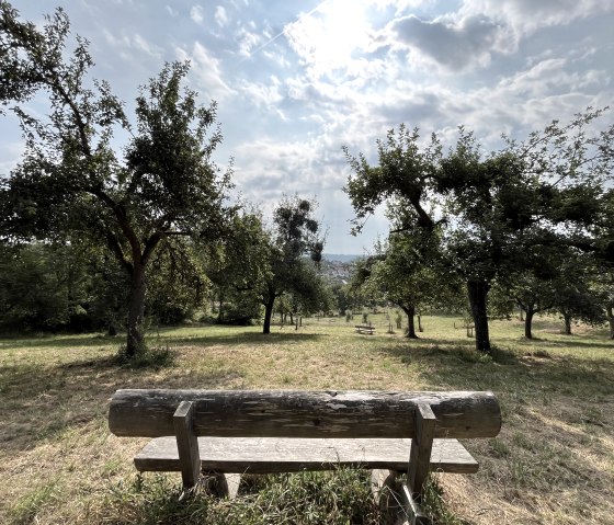 Naschgarten Irrel Ausblick, &copy; Naturpark S&uuml;deifel/Ansgar Dondelinger