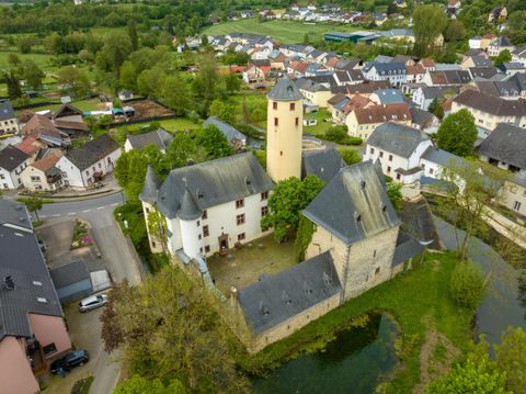 Eine beeindruckende Burg mit einem hohen Turm, umgeben von grünen Bäumen und einem Wasserlauf. Im Hintergrund sind kleine Häuser und ländliche Landschaften zu sehen.