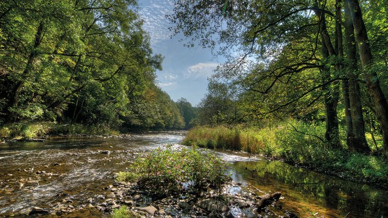 Premiumweg Stausee-Prümtalroute