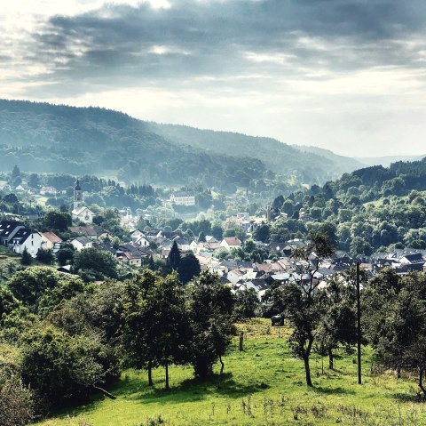 Blick auf Bollendorf von der Mariens&auml;ule, &copy; Felsenland S&uuml;deifel Tourismus GmbH / AC Krebs