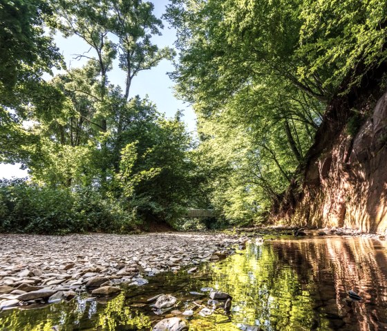 View of the red sandstone wall Roter Puhl, &copy; Eifel Tourismus GmbH, D. Ketz