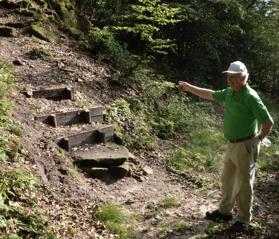 A man in green clothing and a white cap points to a forest path with wooden steps. The surrounding area is wooded and sunny., © Lauschtour.de