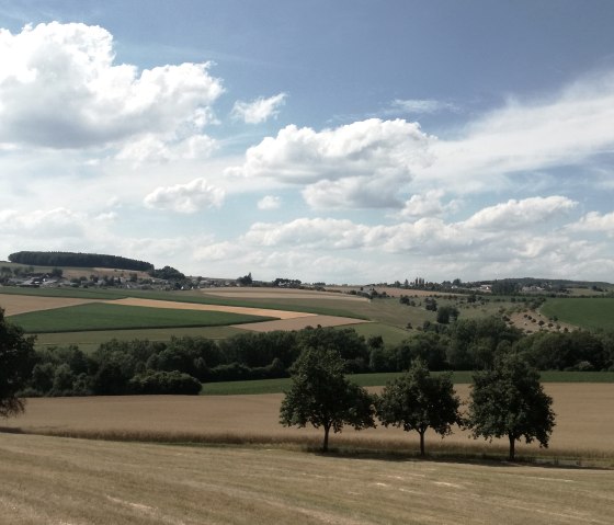 Weite Landschaft mit Feldern, Bäumen und einem blauen Himmel mit weißen Wolken im Kannenbachtal., © Tourist-Information Bitburger Land