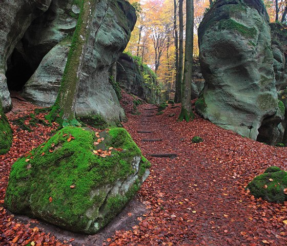 Ein Waldweg mit moosbedeckten Felsen, umgeben von herbstlichem Laub und B&auml;umen. Der Weg f&uuml;hrt durch eine malerische, nat&uuml;rliche Landschaft., &copy; Naturpark S&uuml;deifel, C. Schleder