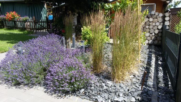 Ein schöner Garten mit lila Lavendel und hohen, grünen Gräsern. Im Hintergrund sind Holzstämme und blühende Pflanzen zu sehen.