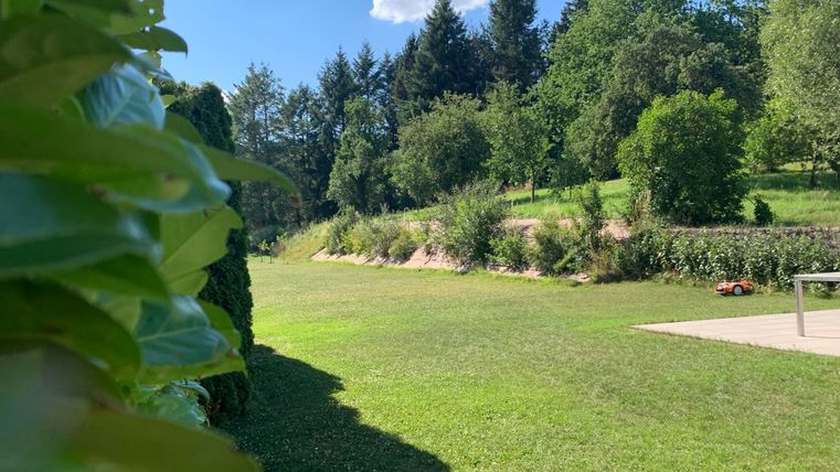 Een groene tuin met bomen en een heldere blauwe lucht. Het landschap is goed onderhouden en nodigt uit tot ontspanning.
