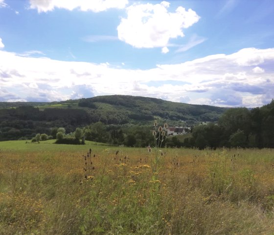 Ralingen 69, &copy; Reinhold Hansen